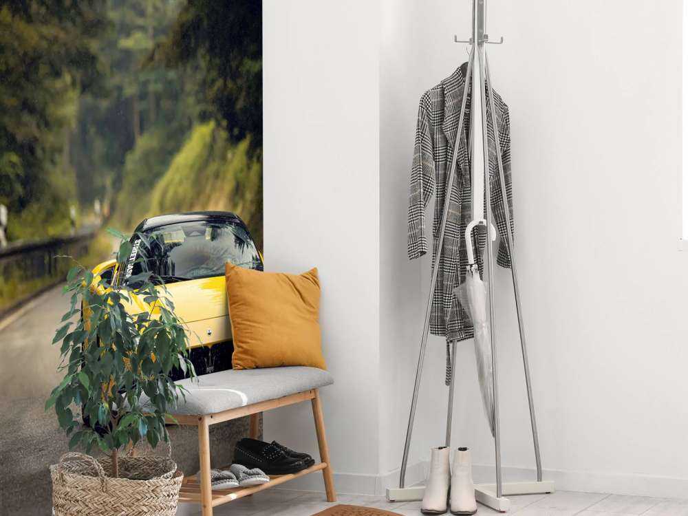 Maserati in the green forest