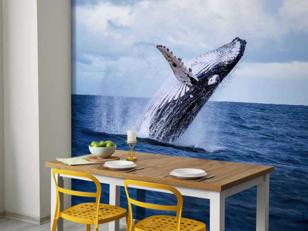 Jumping whale