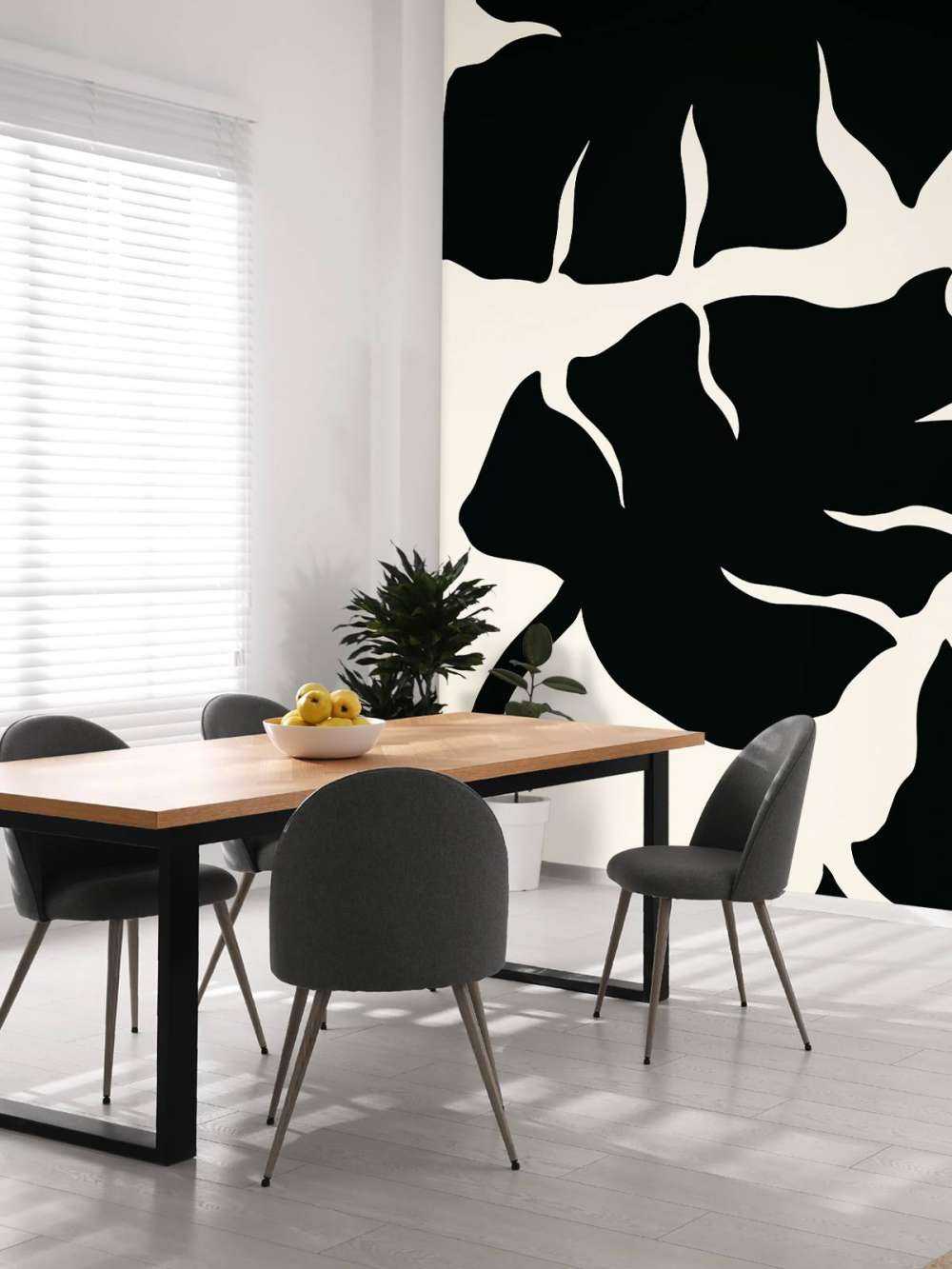 Monstera Black