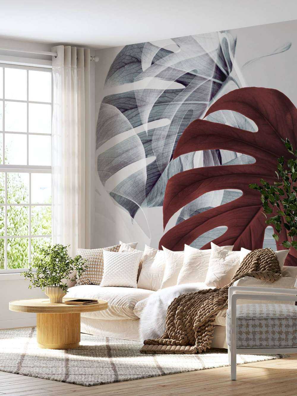 Monstera Creative 18