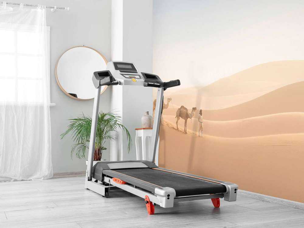 Nomad with his camels