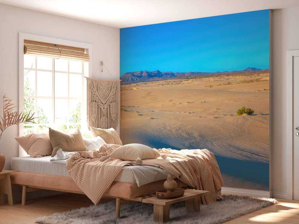 Sunrise over sand dunes