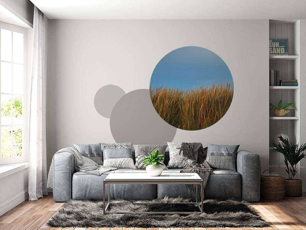 Dune grass