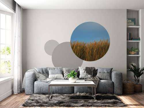 Dune grass