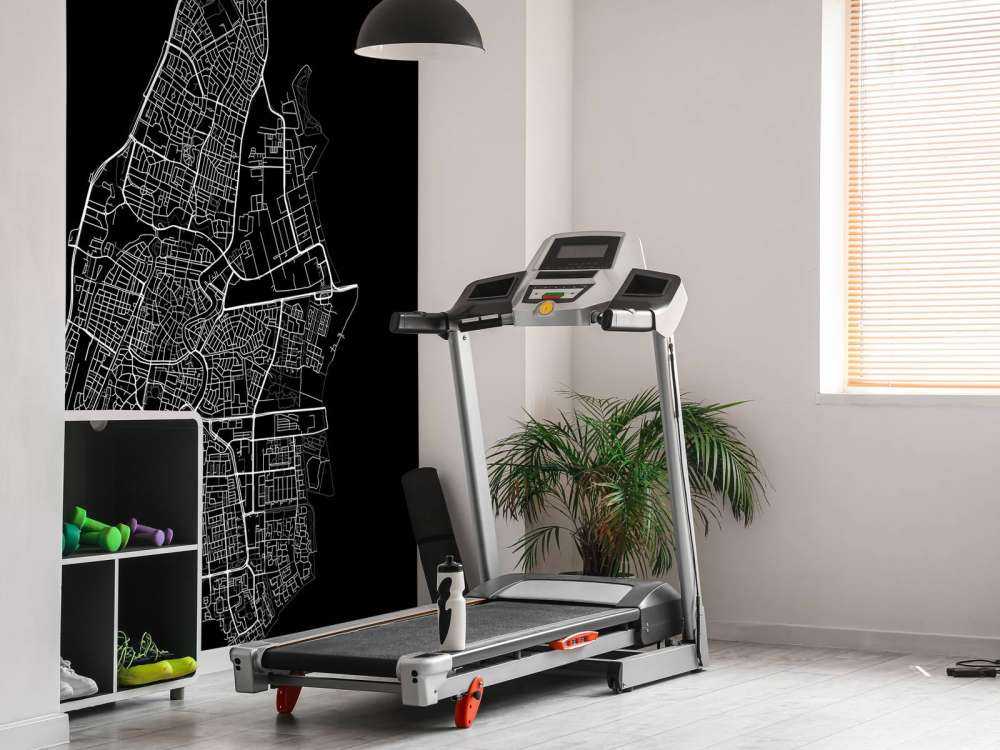 Plattegrond van Haarlem, zwart