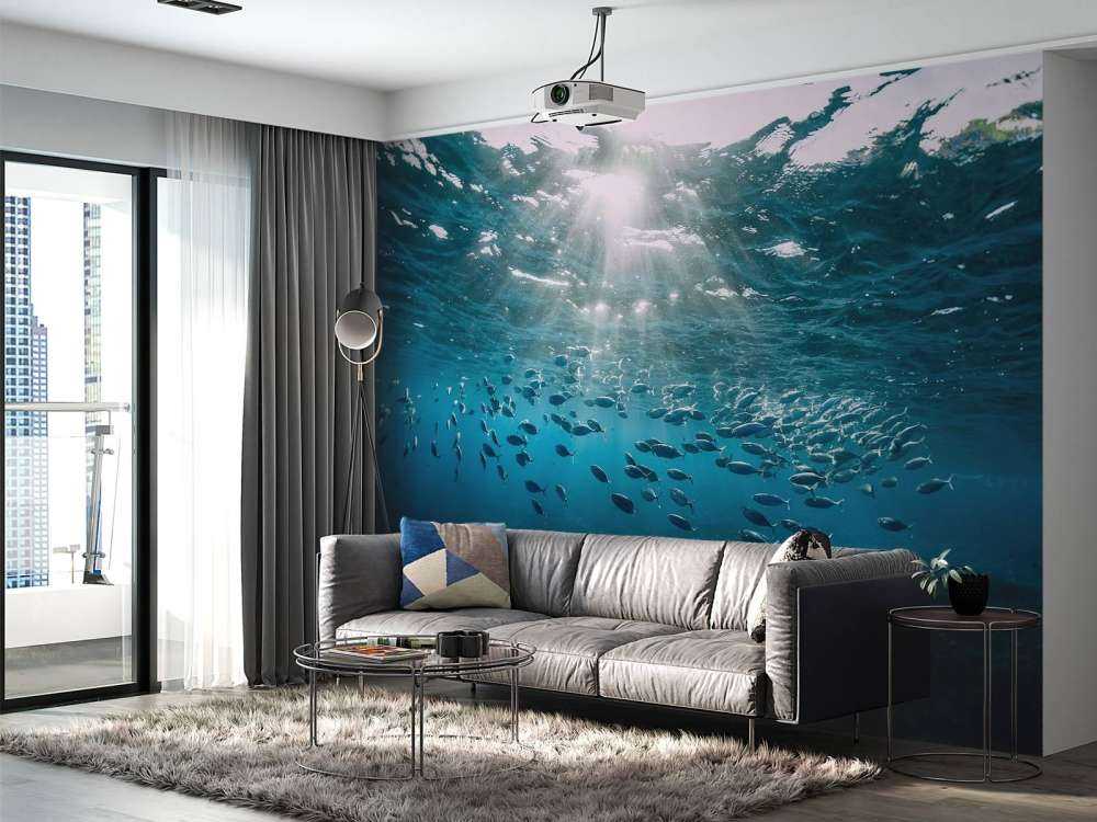 School of fish