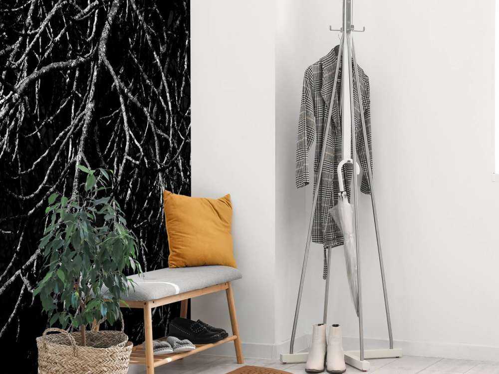 Boomtakken in zwart wit