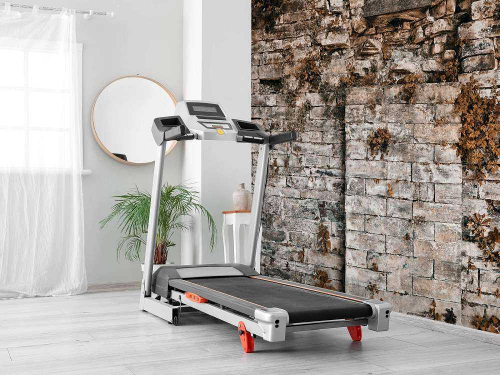 Vegetated wall in autumn