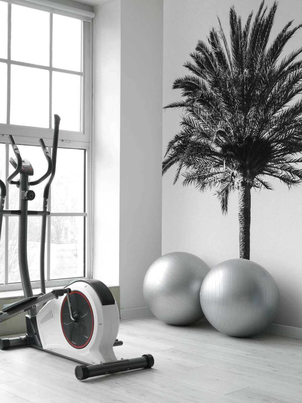 Black and White palm