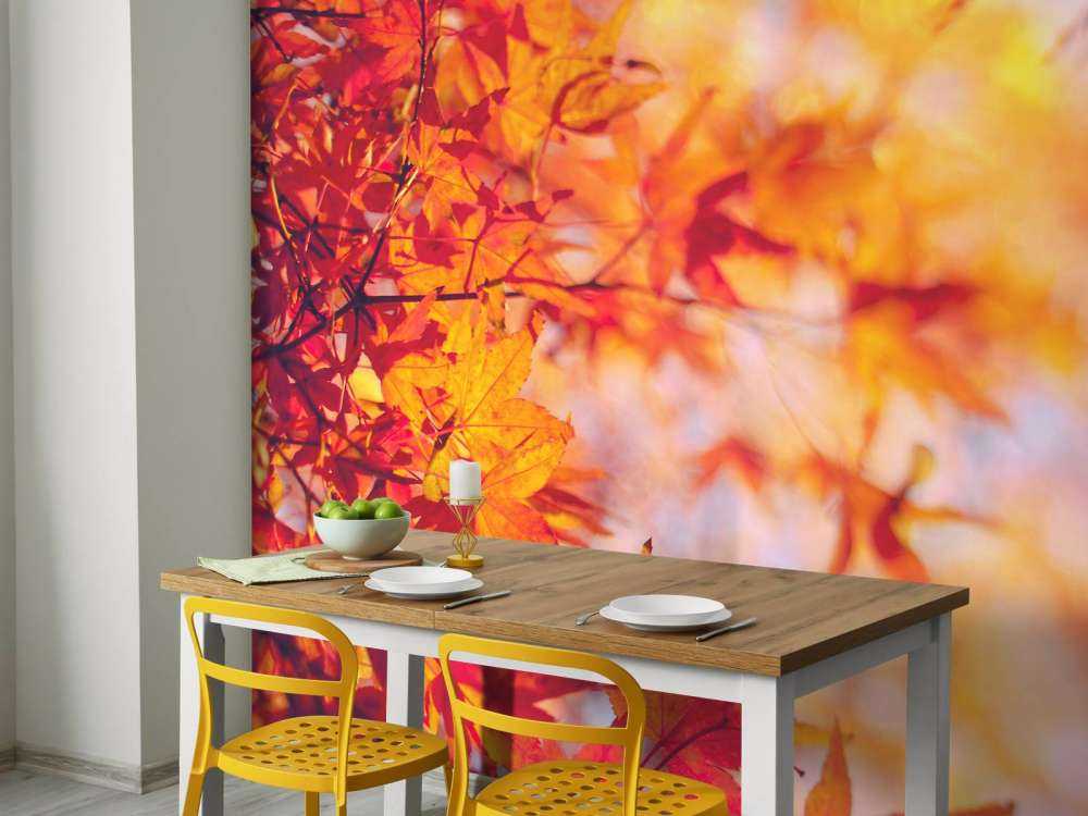 Autumn leaves