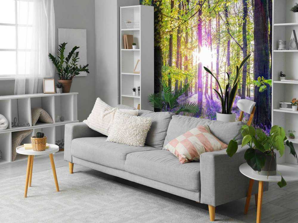 Colourful forest