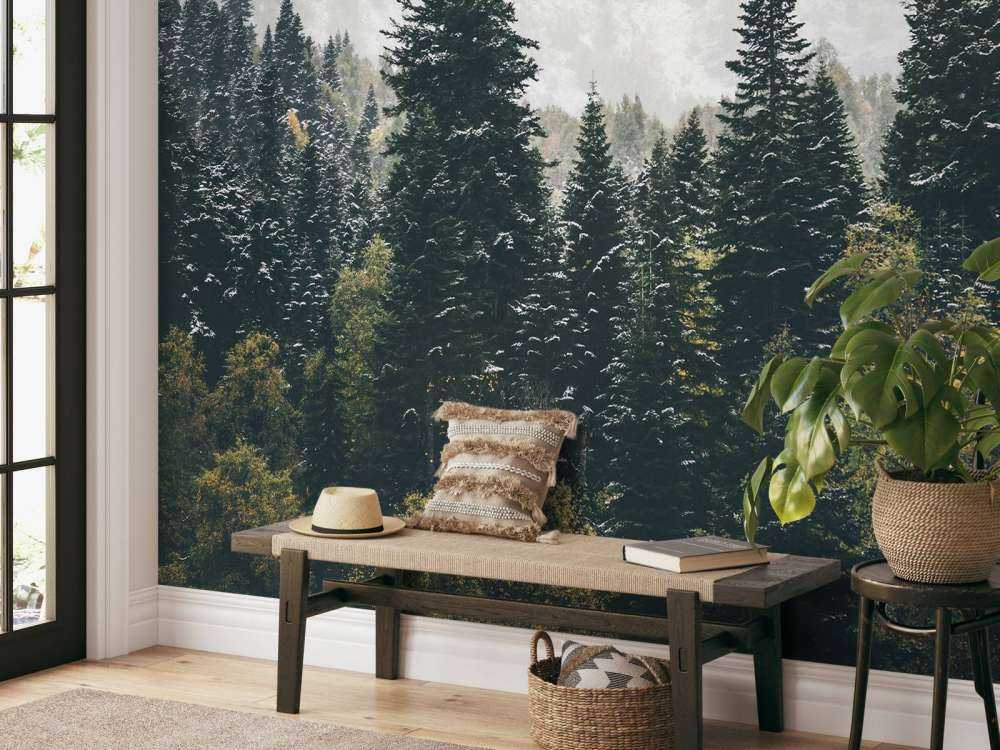 Coniferous forest