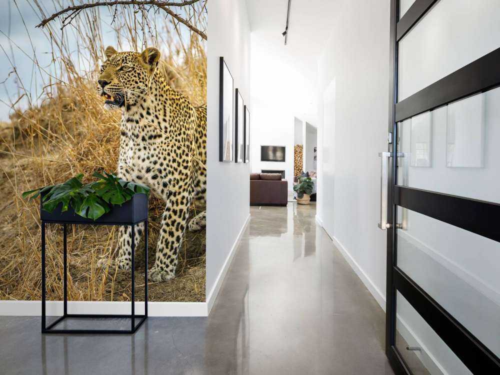 Leopard on the lookout