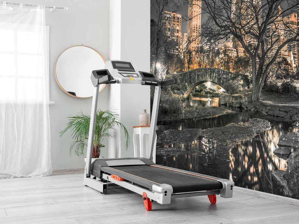 Central park in the evening