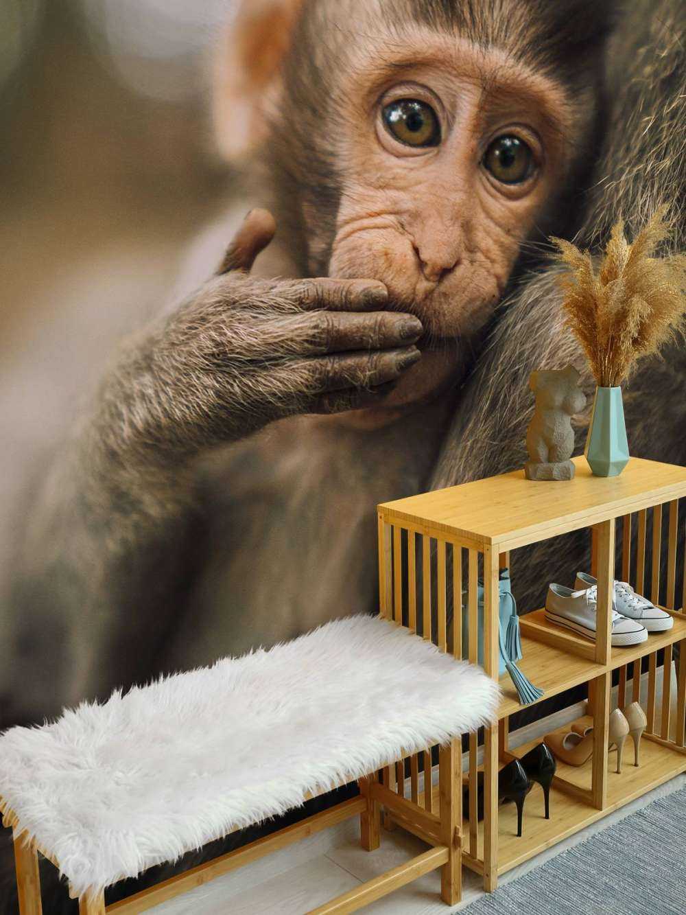 Close-up of a monkey