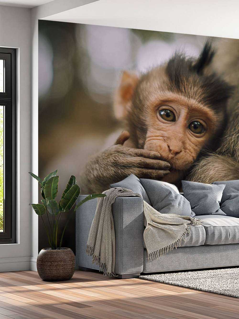 Close-up of a monkey