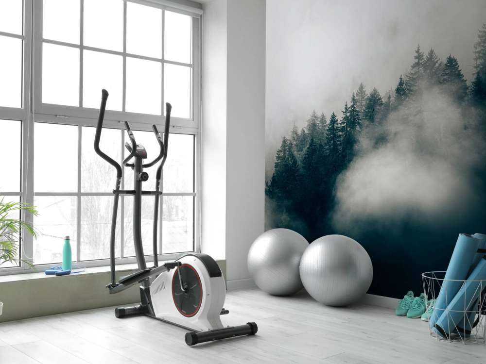 Foggy alpine morning