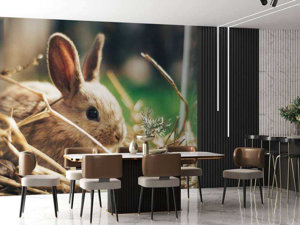Rabbit in straw
