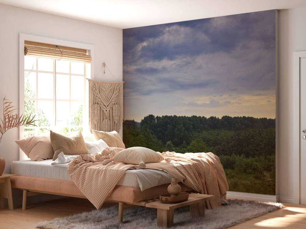 Dreigende wolken boven het bos