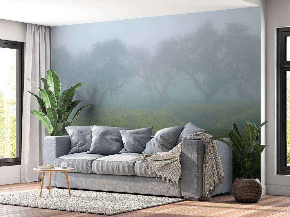 Bomen in dichte mist