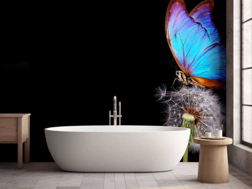 Blue butterfly on a dandelion