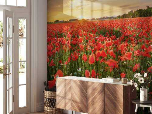 Sunset with poppies