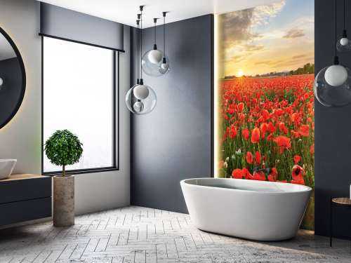 Sunset with poppies