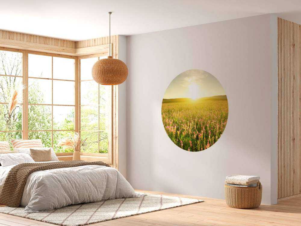 Zonsopkomst bij een bloemenveld