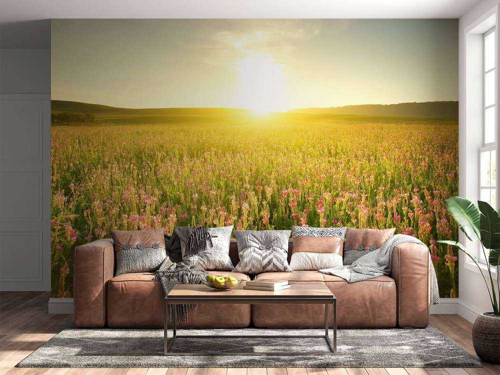 Zonsopkomst bij een bloemenveld