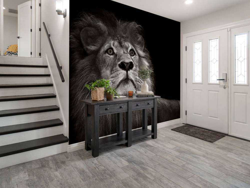 Lion on a black background