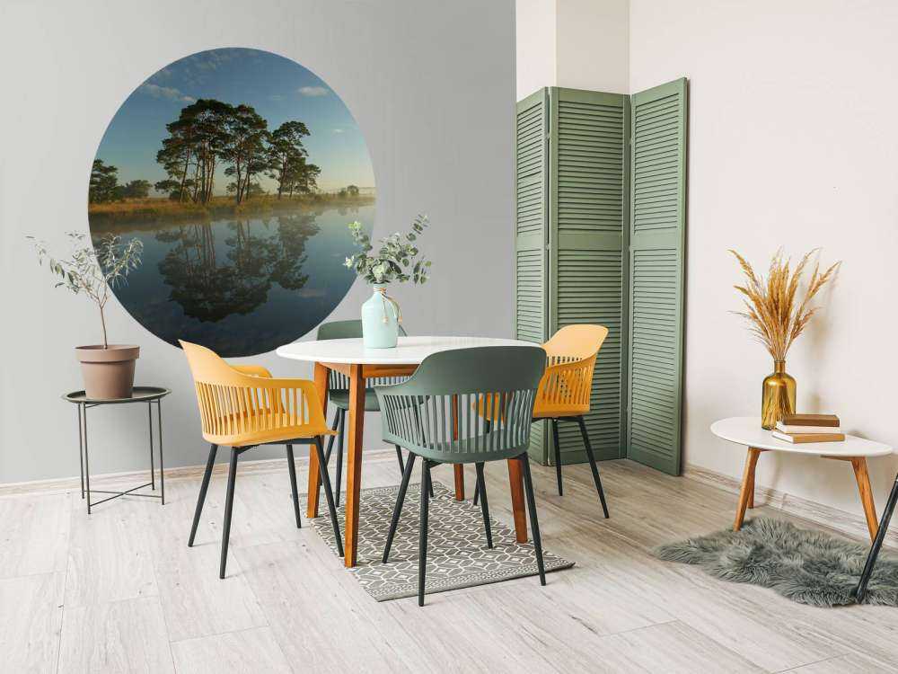 Reflection in moorland