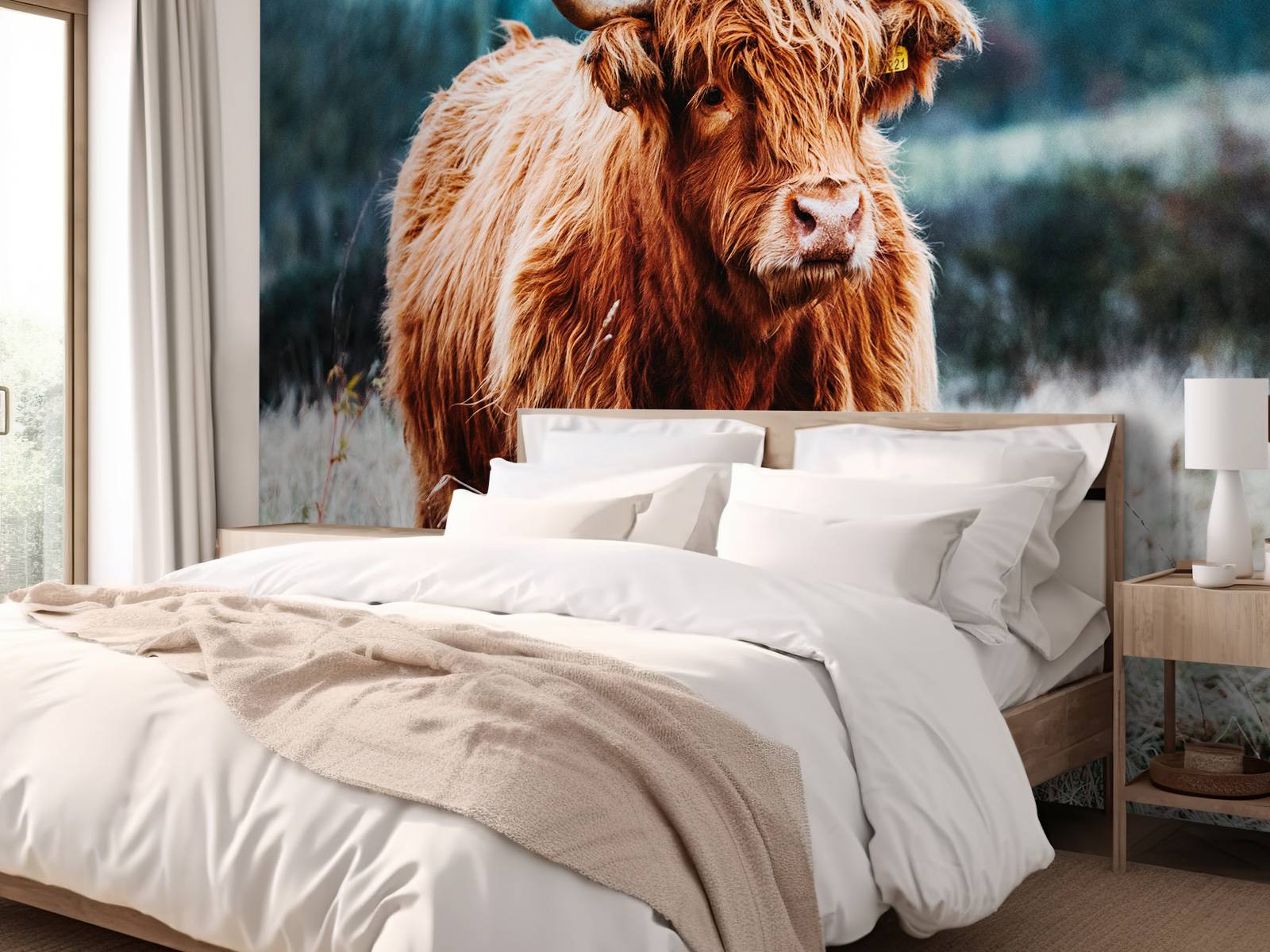 Scottish highlander in the forest