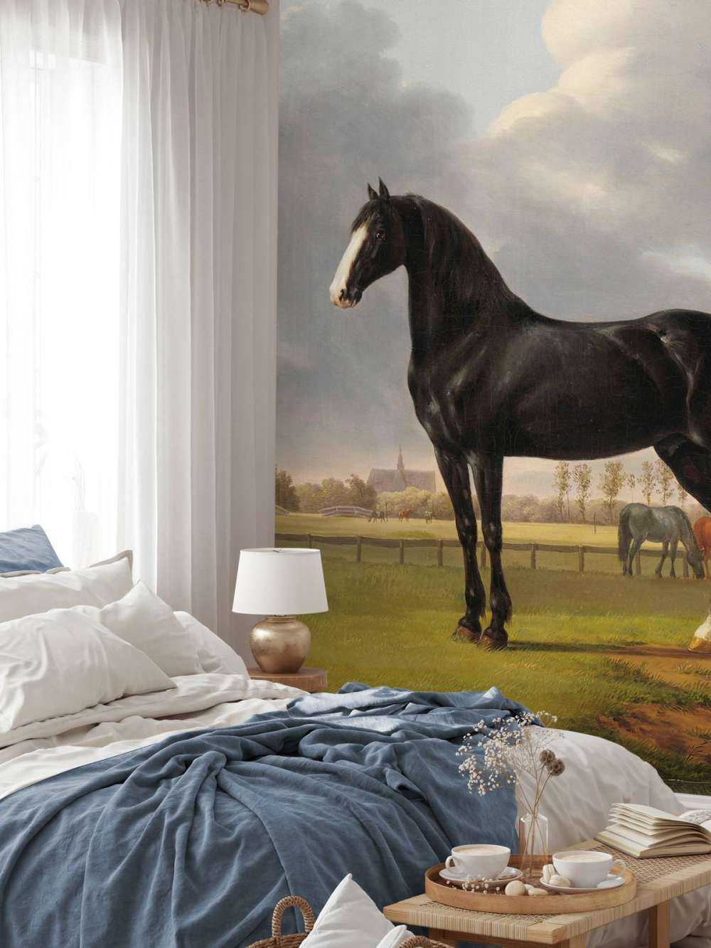 Photo wallpaper horse. The harddrawer De Vlugge
