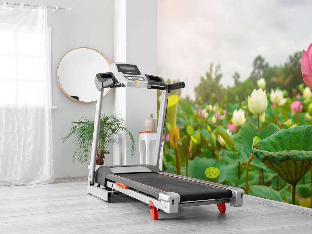 Pink and white lotus flowers