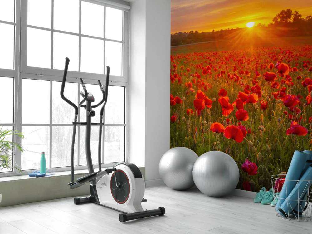 Flowering poppy field