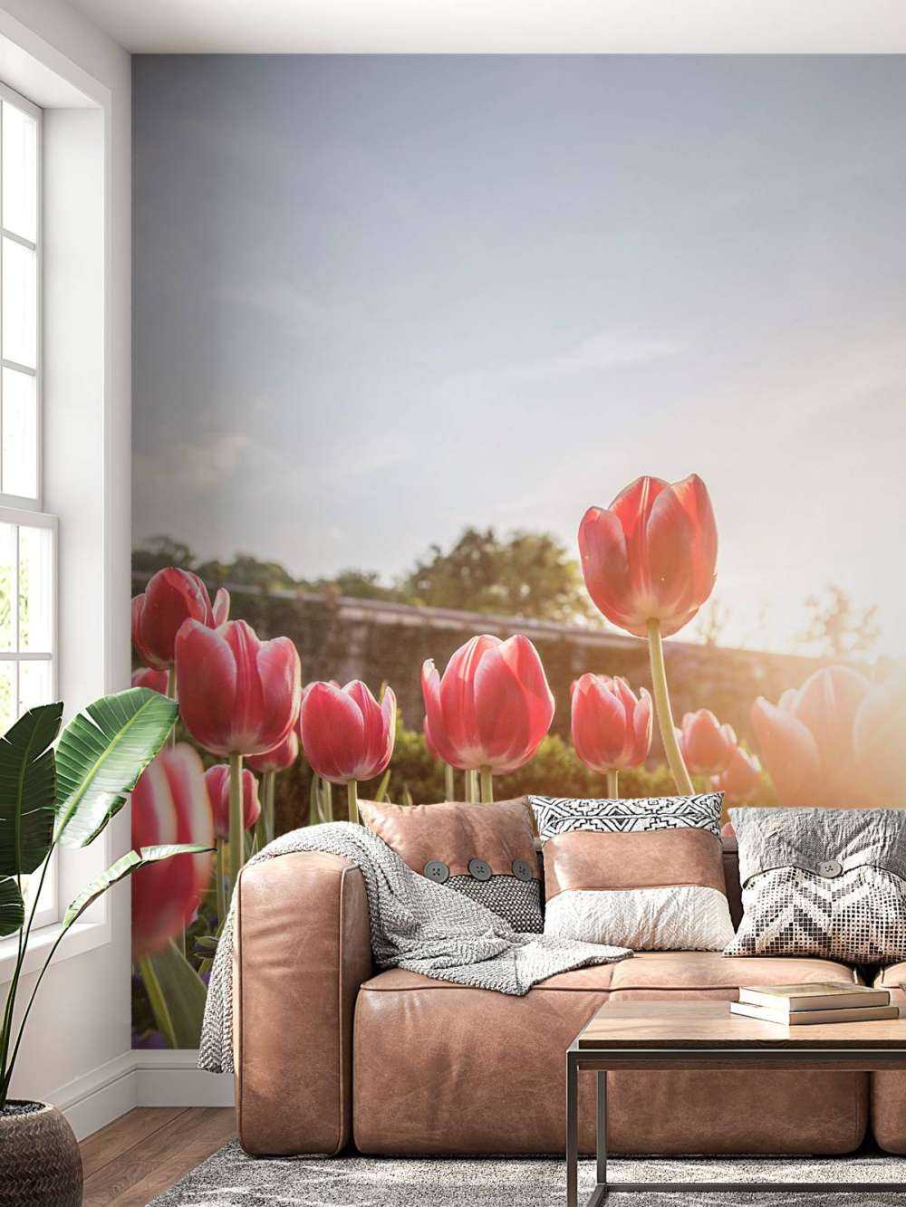 Flowers with sunlight