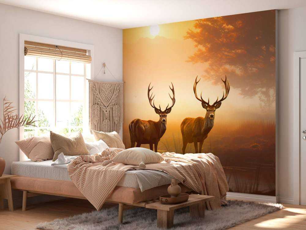Morning Glory Deer Splendor