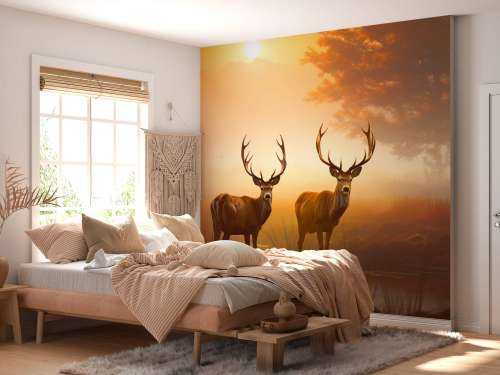 Morning Glory Deer Splendor