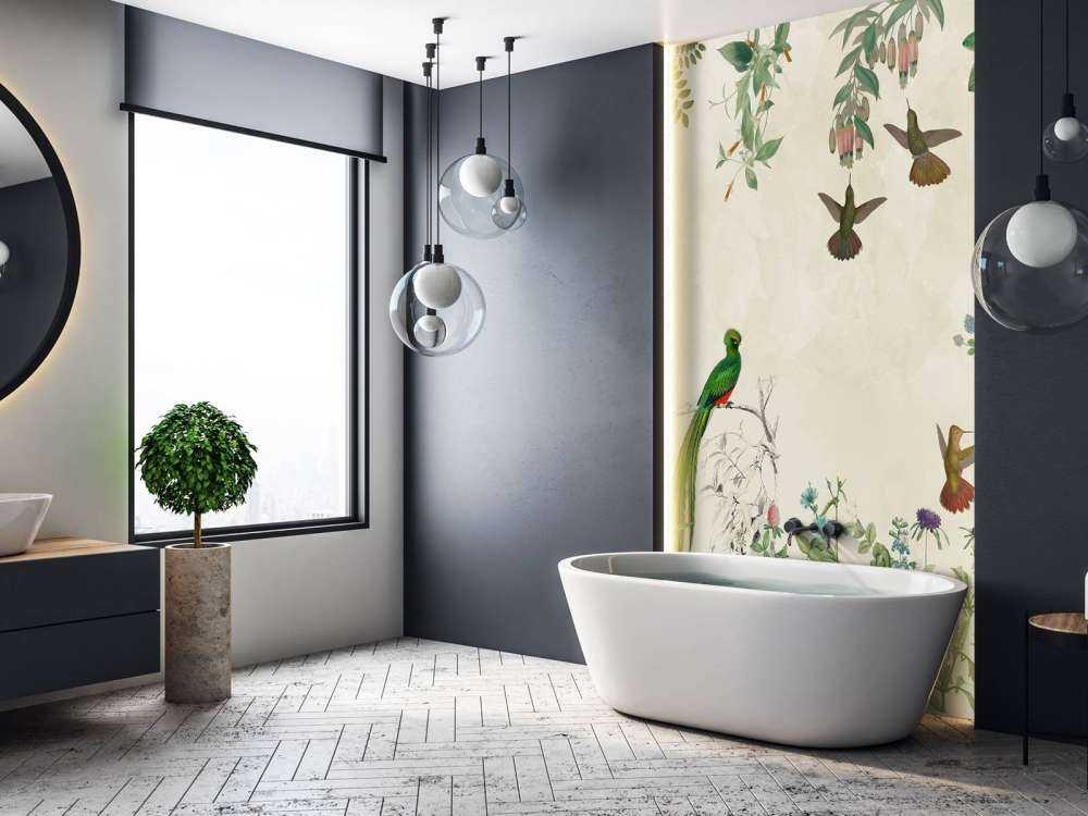 Fields of Colorful Birds