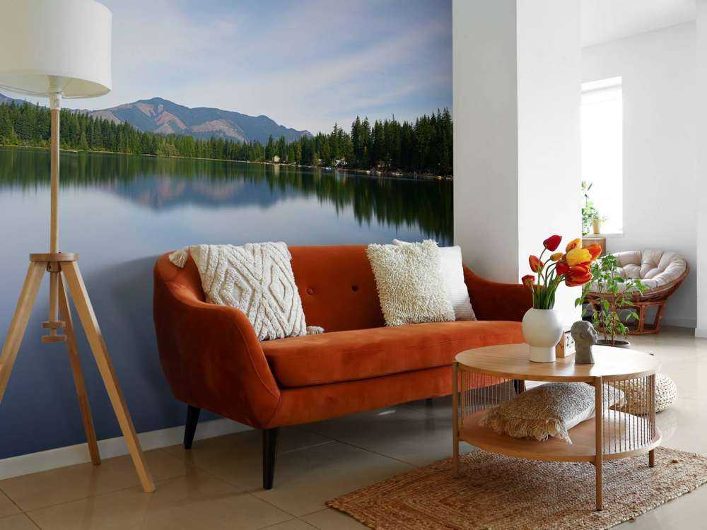 Reflection in the lake