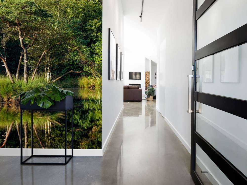 Island in forest lake