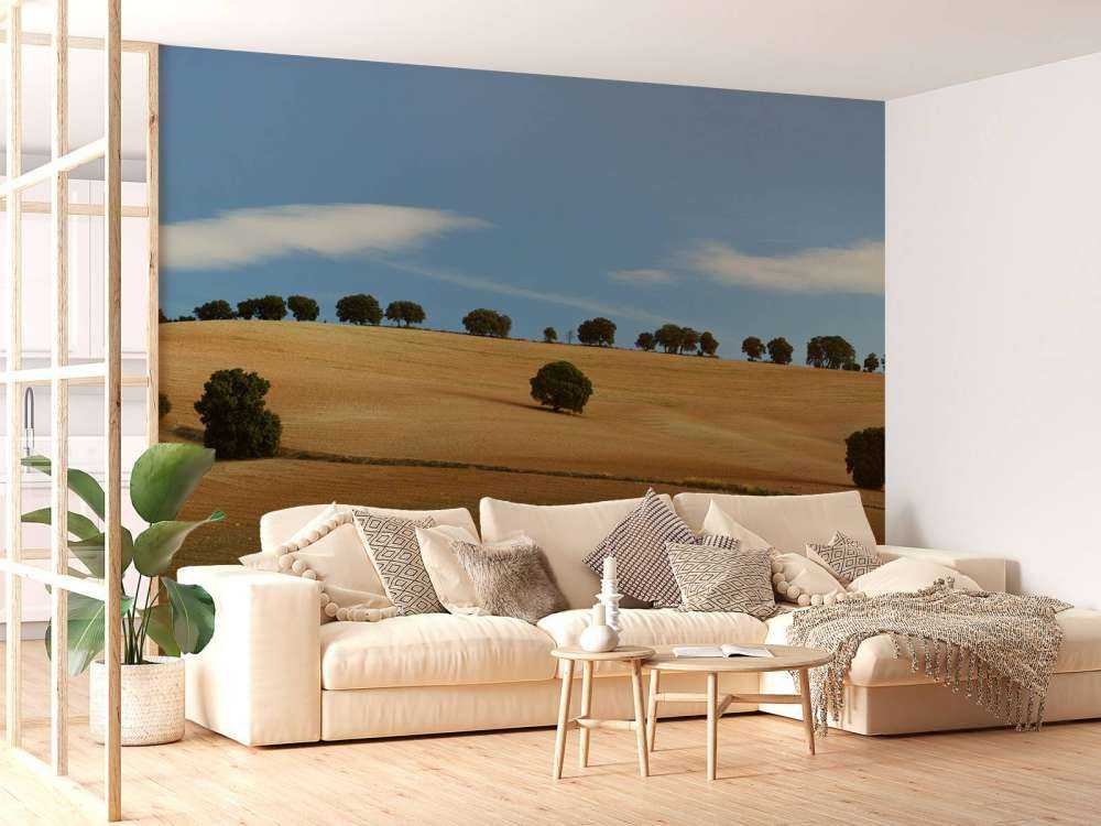 Trees in Spanish landscape