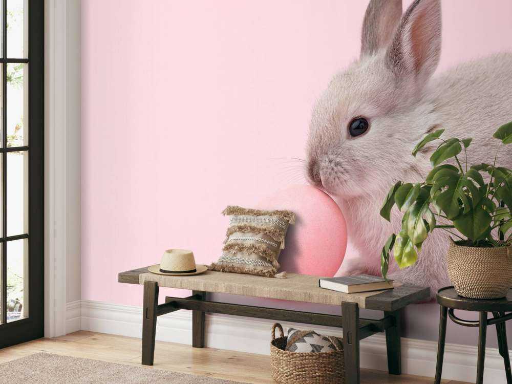 Rabbit with egg