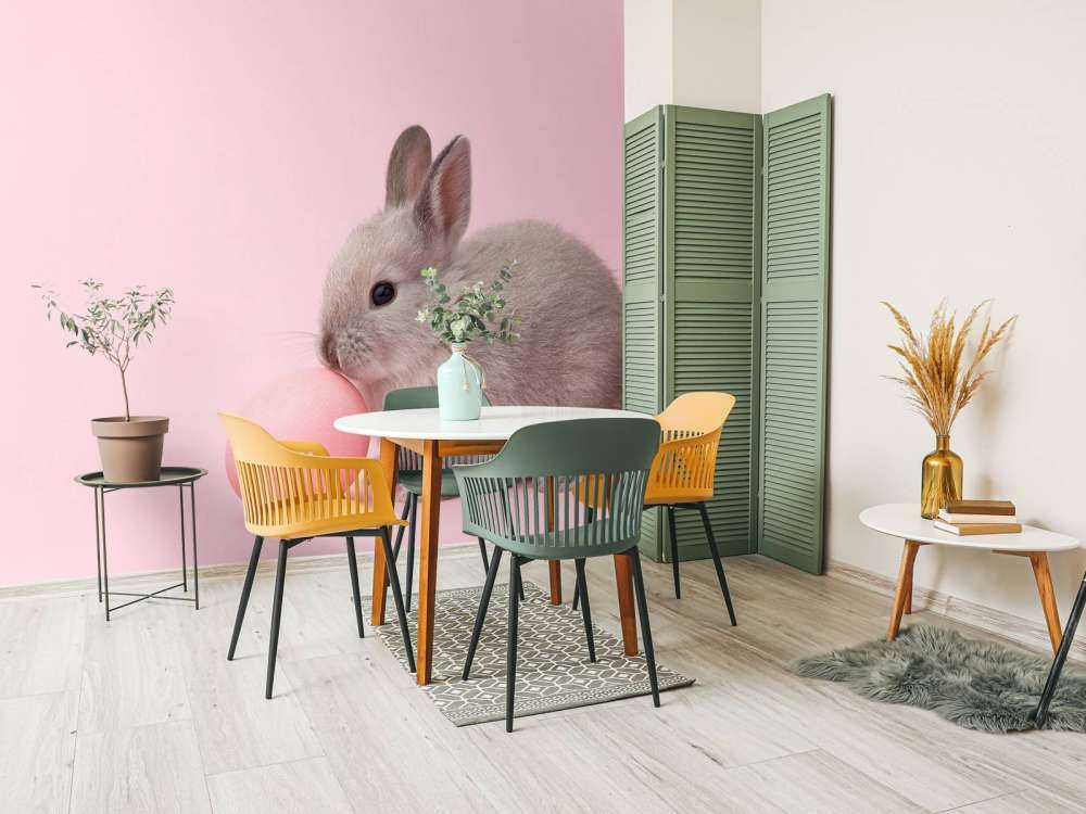 Rabbit with egg