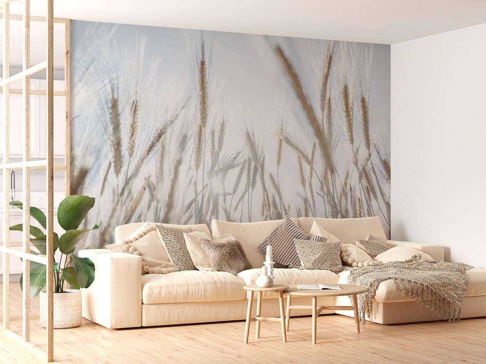 Sunbeams through the grain