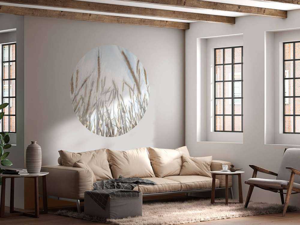 Sunbeams through the grain