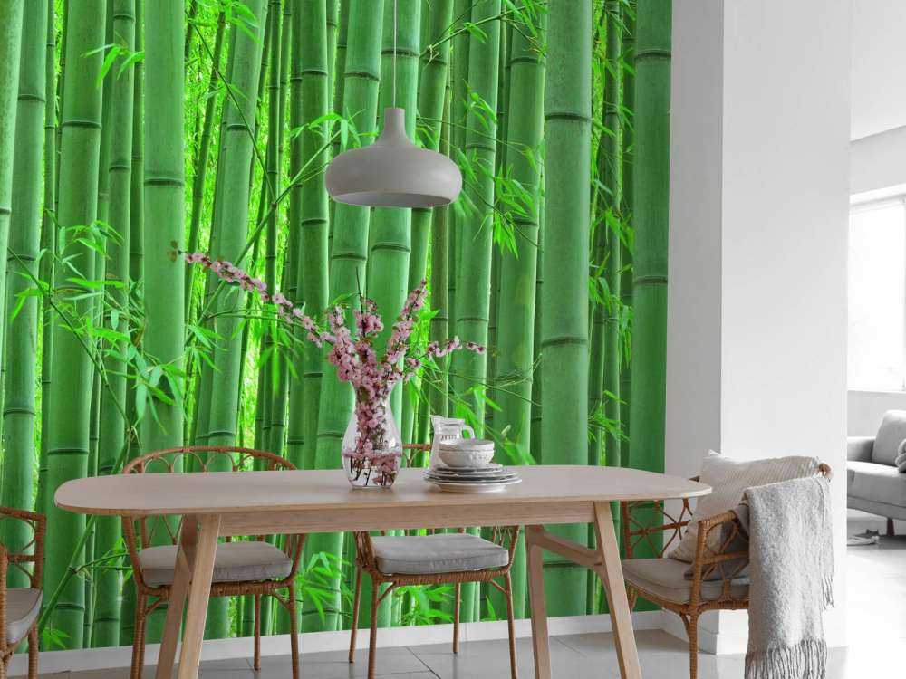 Closeup bamboo forest