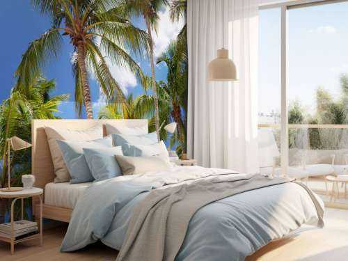 Coconut palm trees