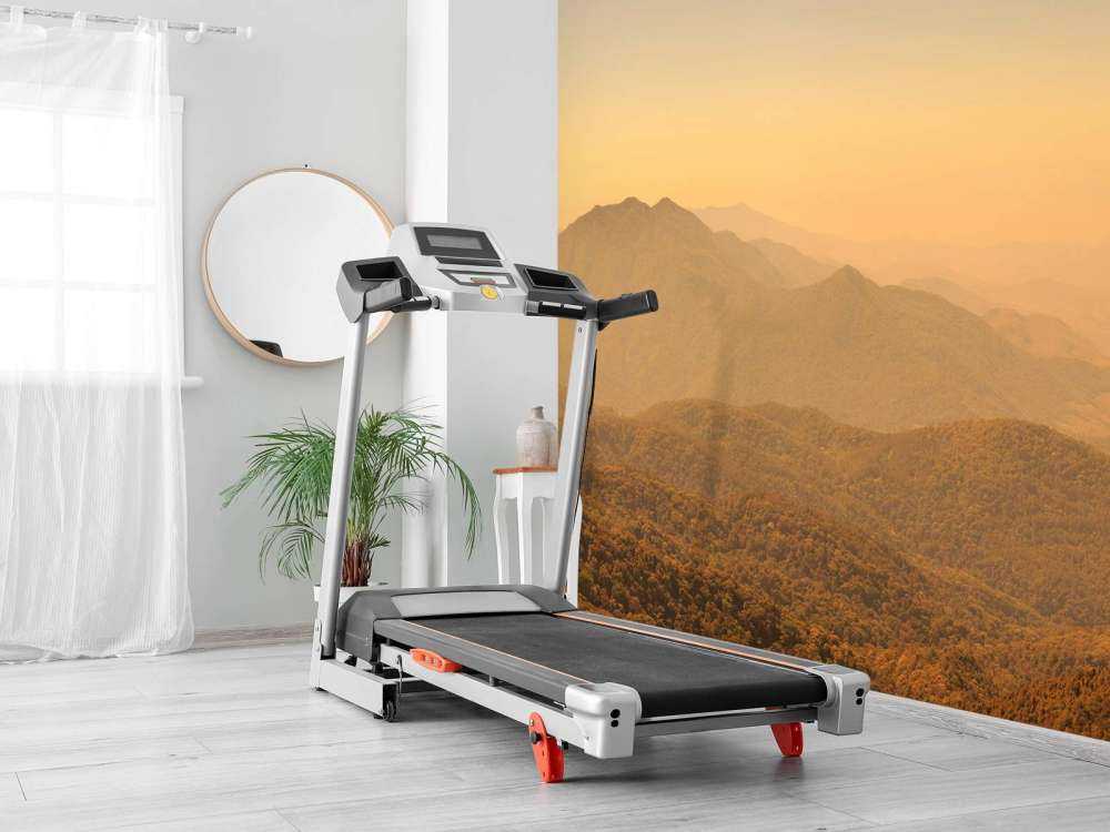 Mountain hill and forest