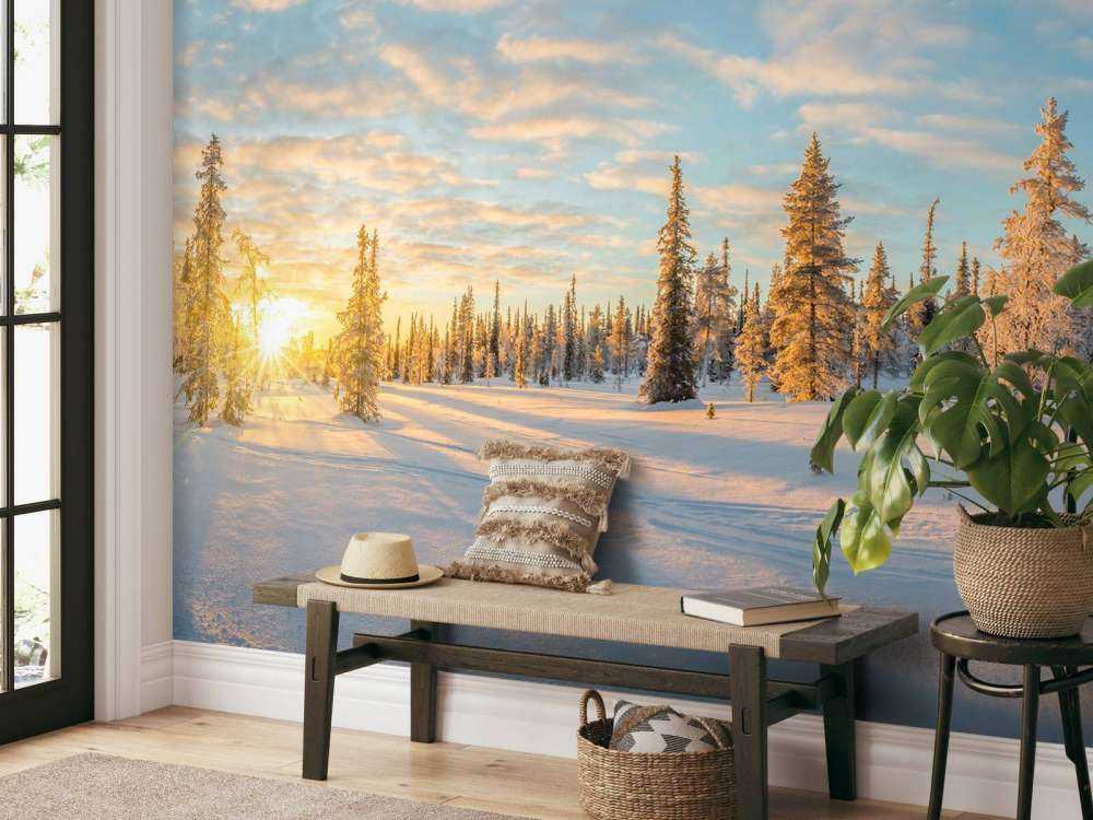 Snow landscape at sunset